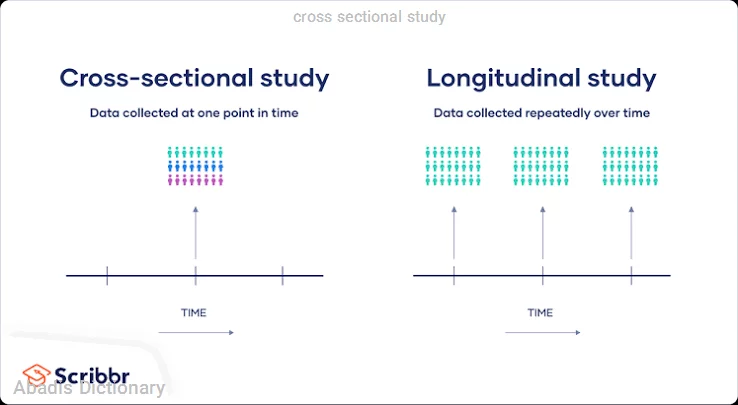 cross sectional study